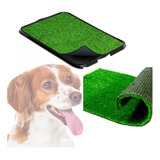 Ecológico
