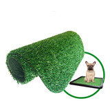 Sanitário Canino Banheiro Para Cães Com Grama + 1 Refil