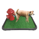 Sanitário Canino Grama Sintética Cães C/ Hidrante Poste 52cm