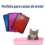 Cães