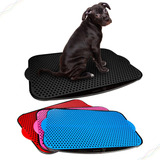 Cães