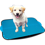 Sanitario Canino Xixi Dog Jel Plast Tapete Higiênico Cães