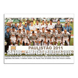 Santos - Campeão Paulista 2011 [30x42cm]