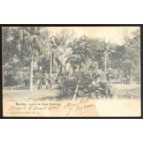 Santos - Jardim Da Praça Andradas - 1908 - 22051401