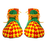 Festa