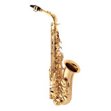 Sax Alto Saxofone Spring Sa500 Sp