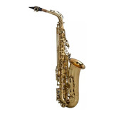 Sax Alto Shelter Sft6430l Laqueado Dourado