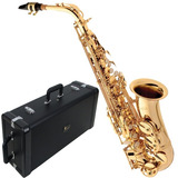 Saxofone Alto Eagle Sa 501 Laqueado Mib Sa501