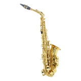 Saxofone Alto Laqueado Eb Custom Com Case