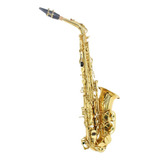 Saxofone Alto Laqueado Eb Custom Com Case
