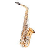 Saxofone Alto Michael Dual Gold Wasm49 Especial