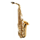 Saxofone Alto Michael Wasm30n Laqueado Com