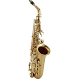 Saxofone Alto Sax Jupiter Jas700q Dourado Laqueado Eb + Case