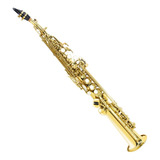 Saxofone Soprano Reto Bb Sib Bemol Laqueado Com Case