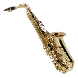 Saxofone Vogga Dourado Sax Alto Vsas701