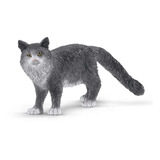 Coon