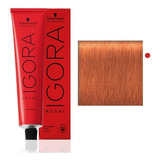 Schwarzkopf Professional Igora Royal  Reds