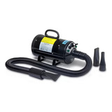 Secador E Soprador Profissional Para Estofados E Pet 127v