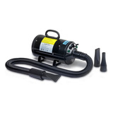 220v
