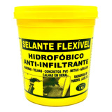 Selante Contra Vazamento E Infiltração De Água Incolor 1kg