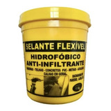 Selante Flexivel Incolor - Solução P/ Infiltração Em Lajes 