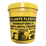 Selante Flexivel Incolor - Solução P/ Infiltração Em Pisos