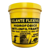 Selante Para Vazamento Veda Infiltração 1kg - Uso Geral