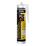 Garin
