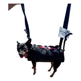 Selete Dog Cross Country Paraglider