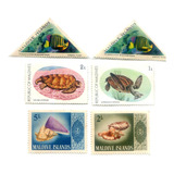 Selos De Maldivas - Fauna Marinha Peixes - Frete $14 - L2452