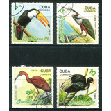 Selos Do Caribe E Guiné Fauna