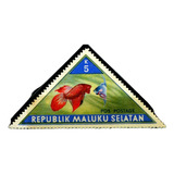 Selos Peixes Ornamentais Fauna Marinha Maluku