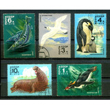 Selos Rússia Fauna Marinha Ave Peixe Mamífero Ártico- L.2378