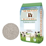 Daterra