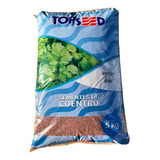 Seed