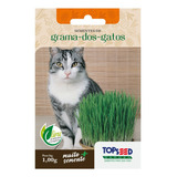 Topseed