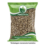 Semente De Girassol Pepita 1kg