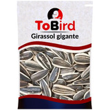 Semente De Girassol Premium - 20kg 