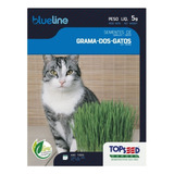 Semente De Grama Dos Gatos Topseed Blue Line 5.000 Sementes