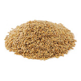 Semente De Linhaça Dourada 1kg - Linha Premium