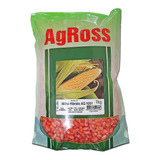 1kg