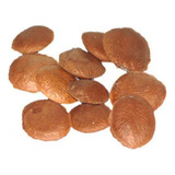 Semente De Sucupira Graúda Selecionada - 500 G
