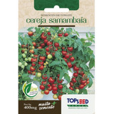 Semente De Tomate Cereja Samambaia Topseed - 400mg Hortaliça