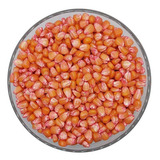(500g
