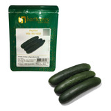 Semente Pepino Híbrido Hs 1020 Horticeres - 1.000 Sementes