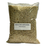 Semente Perila Branca - 1kg -