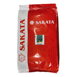 Sementes Coentro Verdão 5kg Sakata 