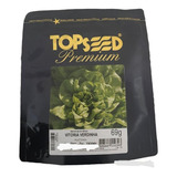 Topseed