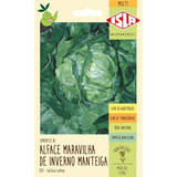 Sementes De Alface Maravilha Manteiga Inverno