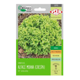 Sementes De Alface Moana Crespa Orgânica (500mg) Super Isla